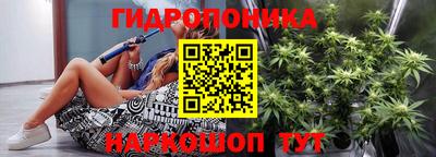spice Балашиха