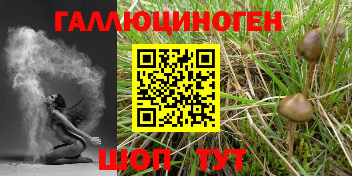 Благодарный  Псилоцибиновые грибы мицелий  Вход с VPN 