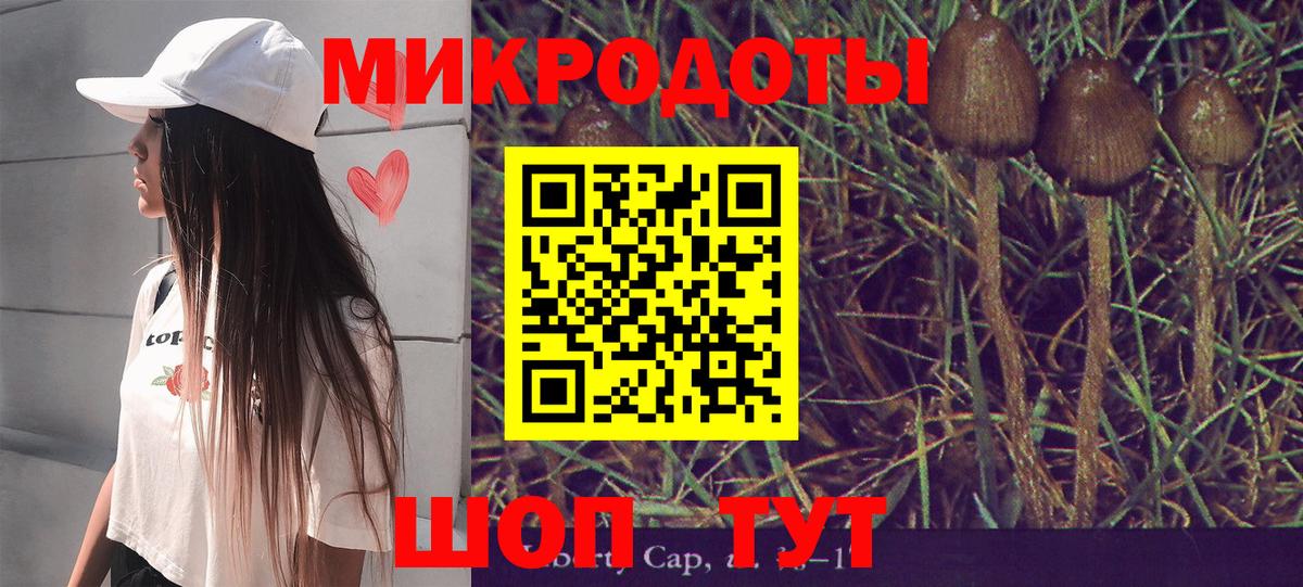 Псилоцибиновые грибы мицелий Благодарный