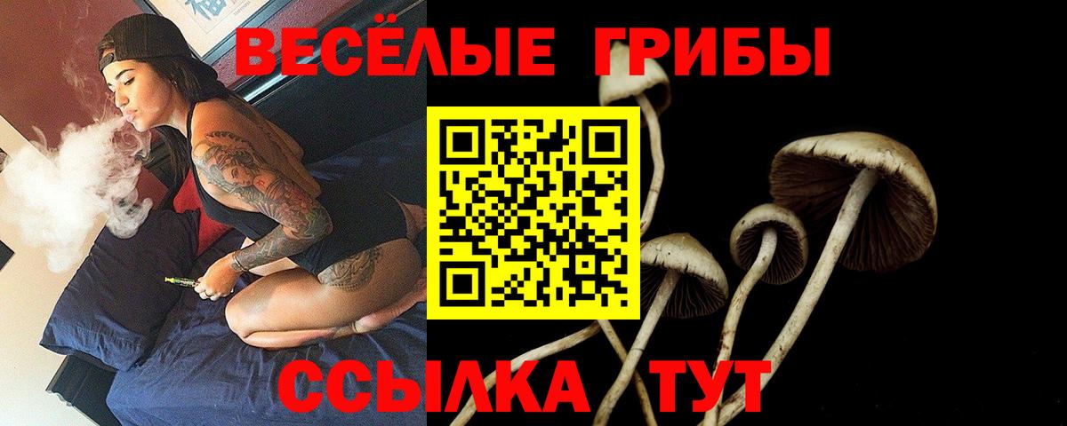 Псилоцибиновые грибы ЛСД Благодарный