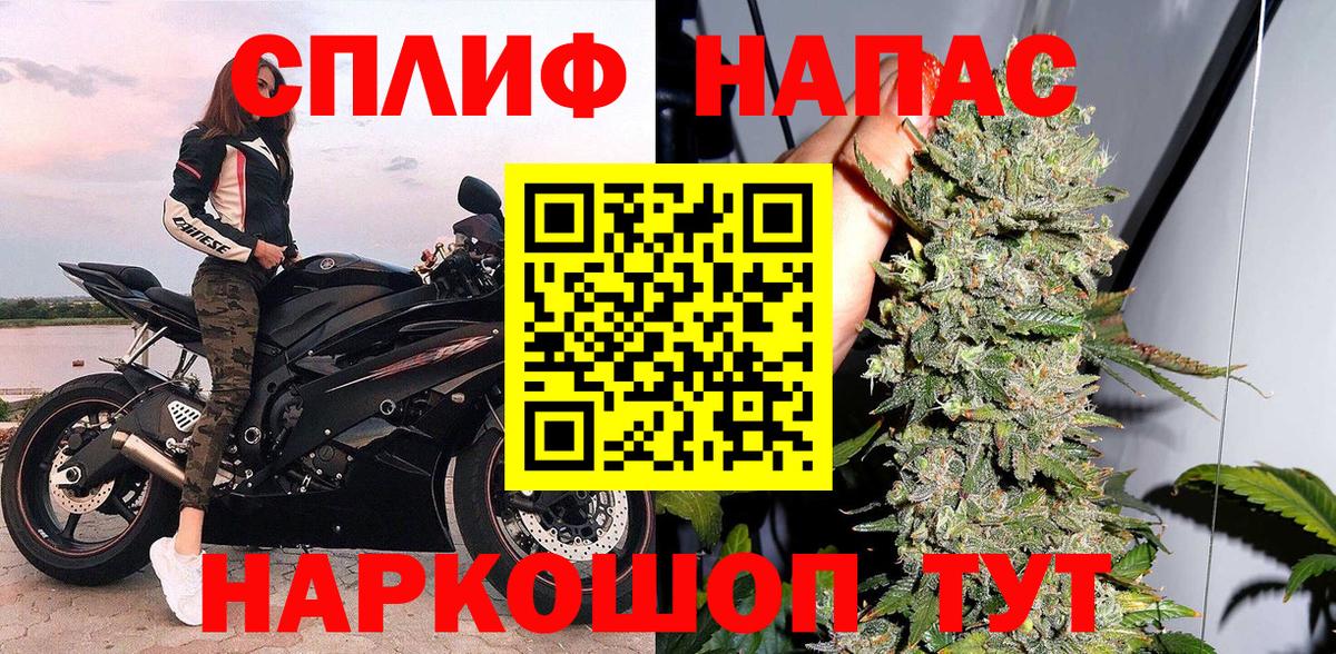 Бошки марихуана ГИДРОПОН Благодарный